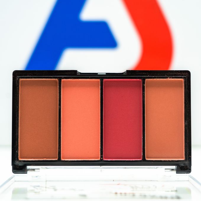 Me Now Pro New Blusher Set 13.2g - 4 Colors - D Series